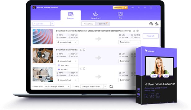 HitPaw Video Converter